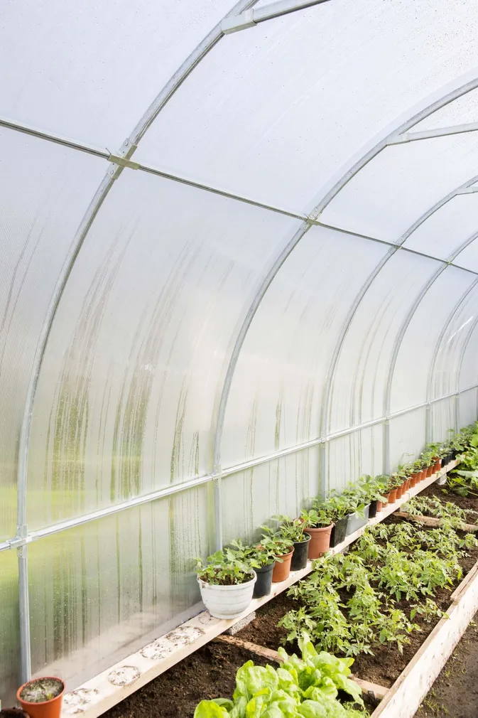 KAARKASVUHOONE EASY-UP 3X4M 6MM