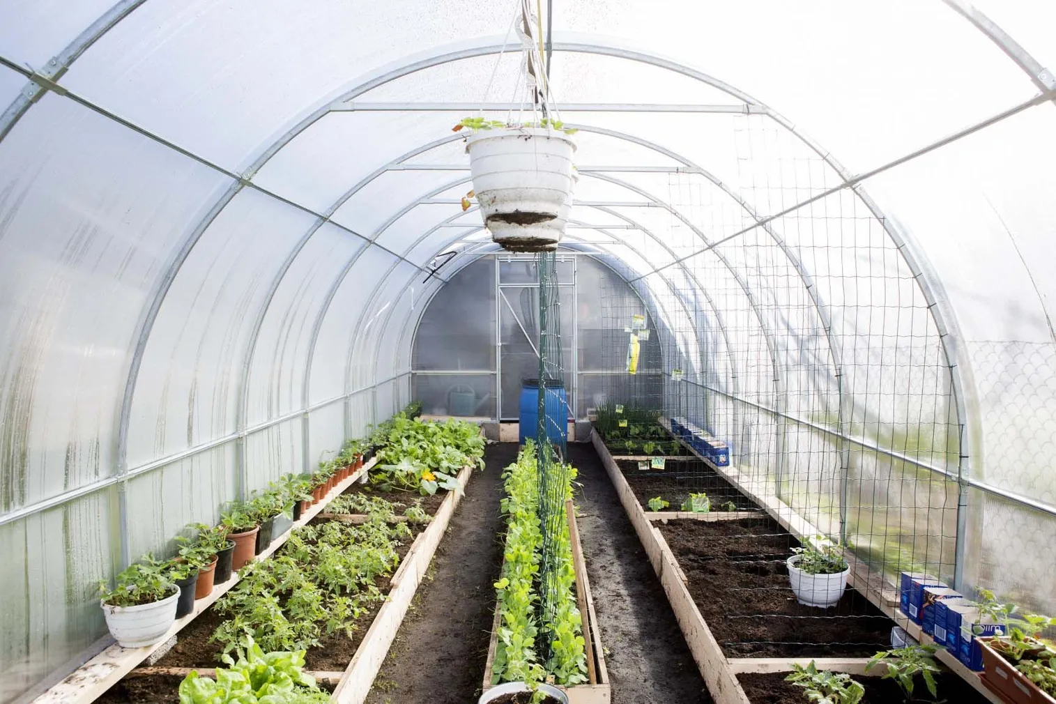 KAARKASVUHOONE EASY-UP 3X4M 6MM