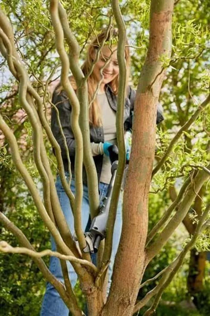 OKSALÕIKUR GARDENA EASYCUT 110/18V P4A, AKU JA LAADIJAGA