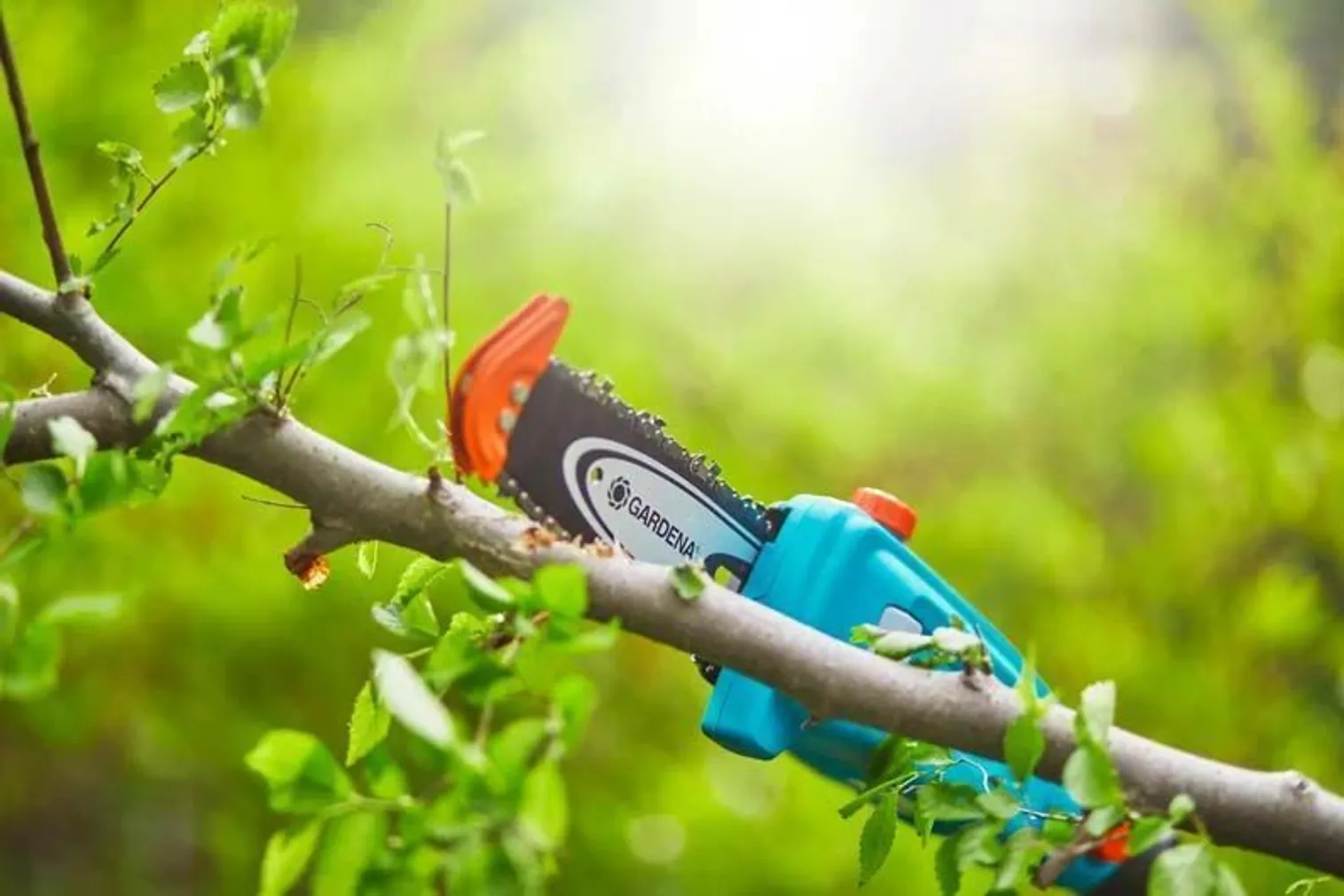 OKSASAAG GARDENA TCS 20/18V P4A, TELESKOOPVARREGA, AKU JA LAADIJAGA