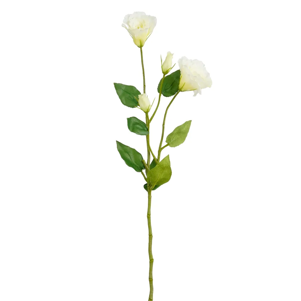 KUNSTLILL MICA DECORATIONS PREERIAKELL 72CM KREEM