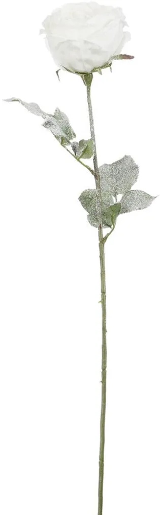 KUNSTLILL MICA DECORATIONS ANTIIKROOS 66CM VALGE