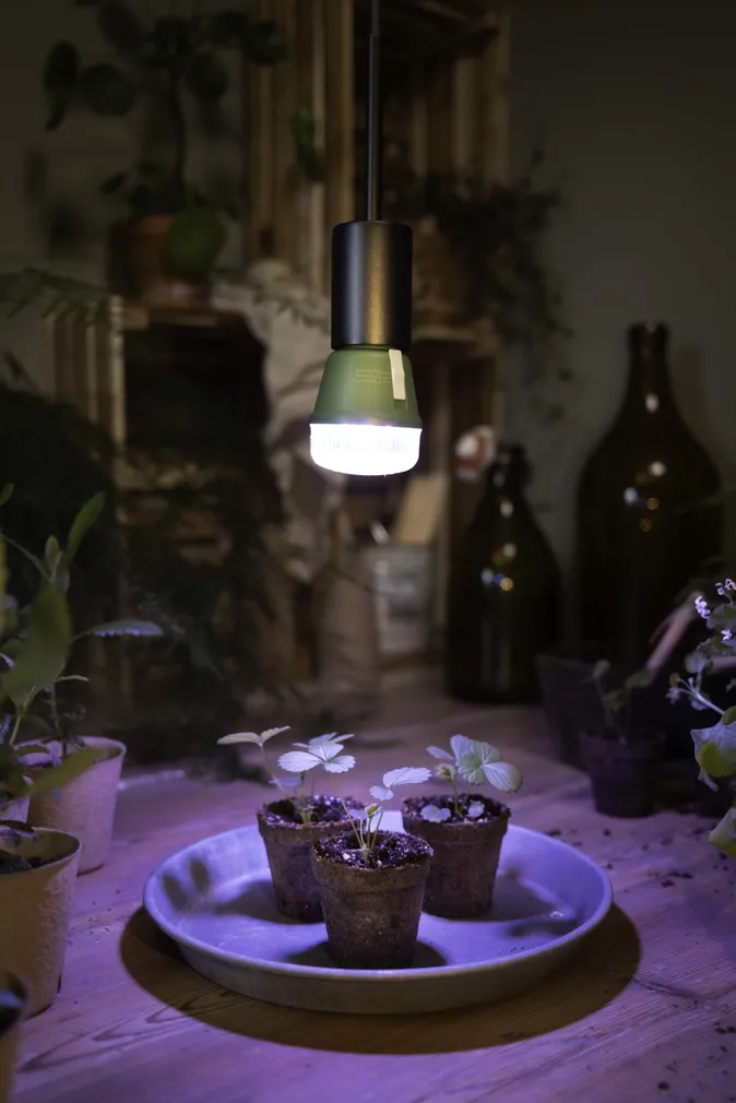 RIPPVALGUSTI LEDVANCE VINTAGE PENDULUM NEEDLE E27 TUMEHALL