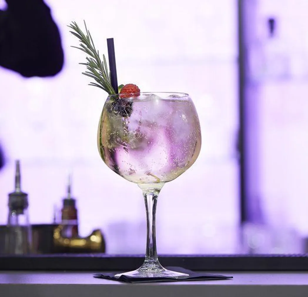 KOKTEILIKLAAS GIN TONIC ROYAL LEERDAM 65CL, 4TK