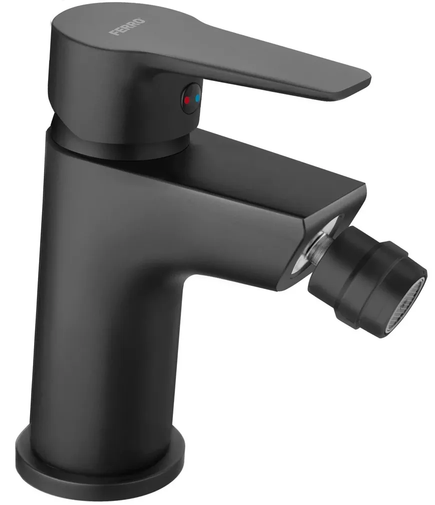 BIDEESEGISTI FERRO RENNTO BNT6BL, MUST