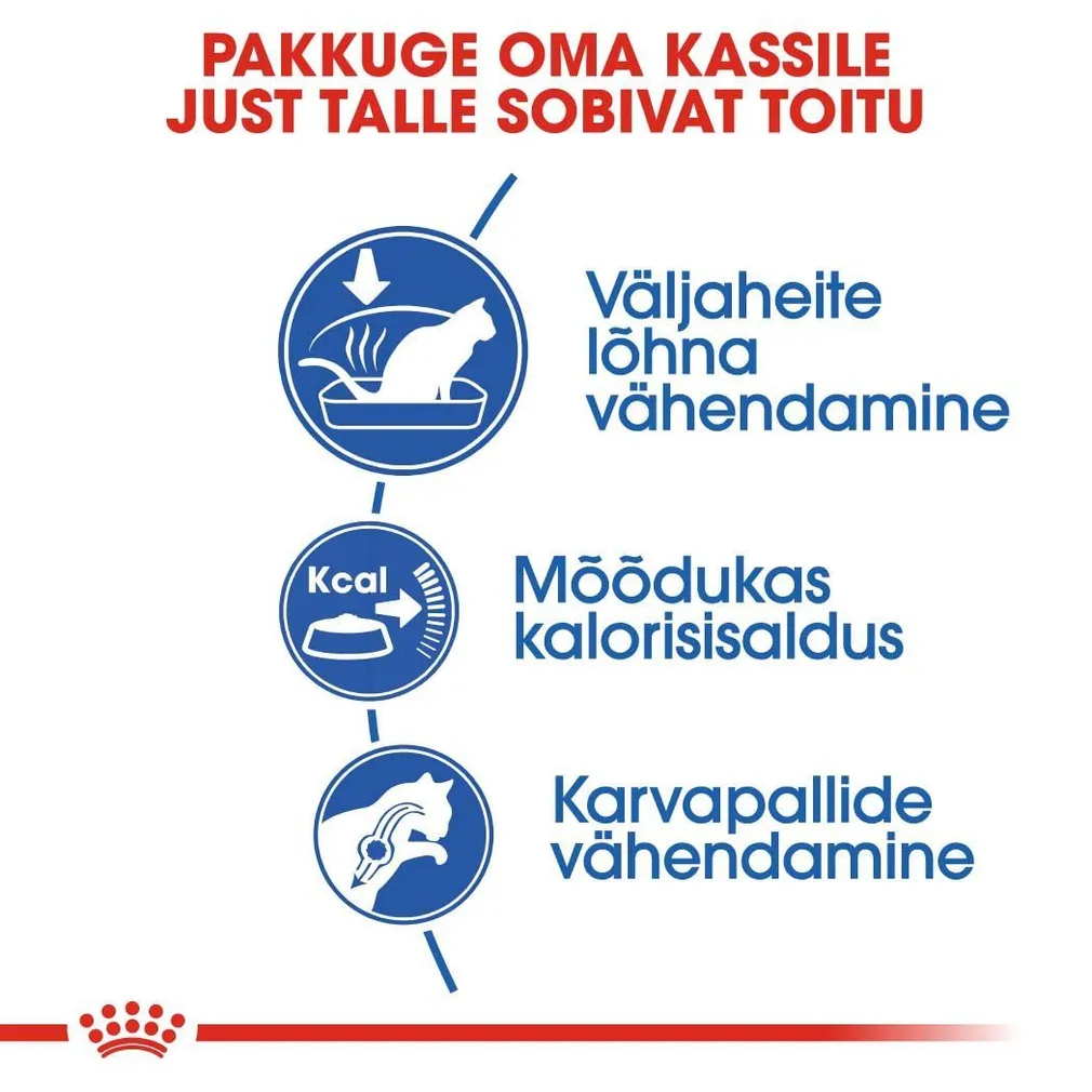 KUIVTOIT ROYAL CANIN INDOOR KASSIDELE 4KG