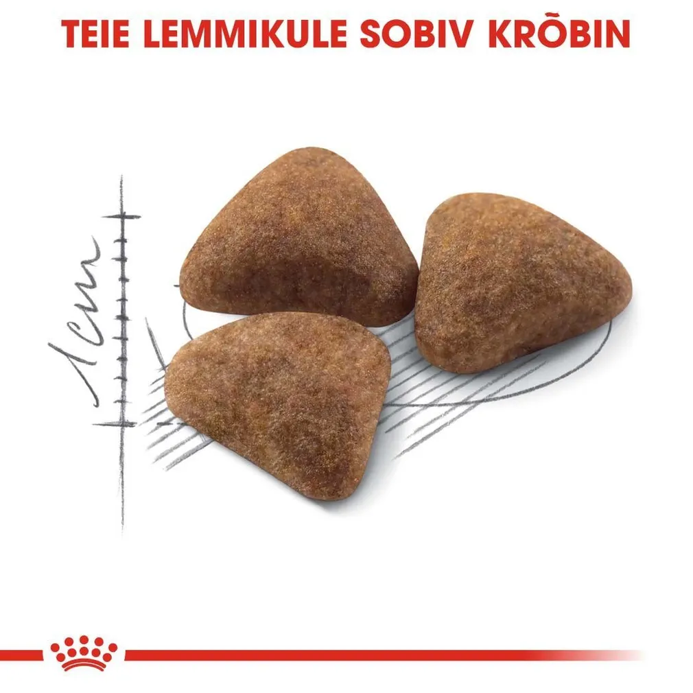 KUIVTOIT ROYAL CANIN INDOOR KASSIDELE 4KG