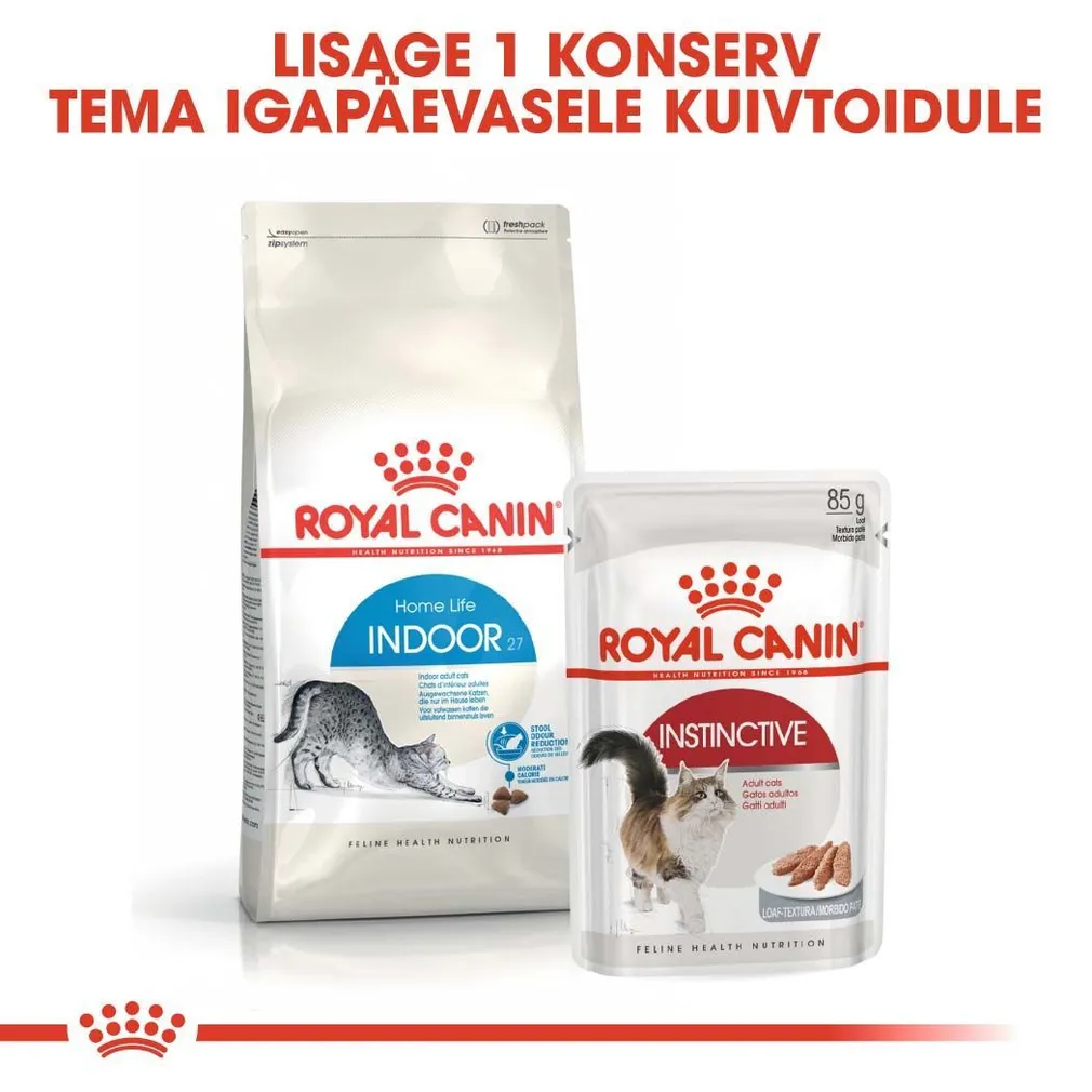 KUIVTOIT ROYAL CANIN INDOOR KASSIDELE 4KG