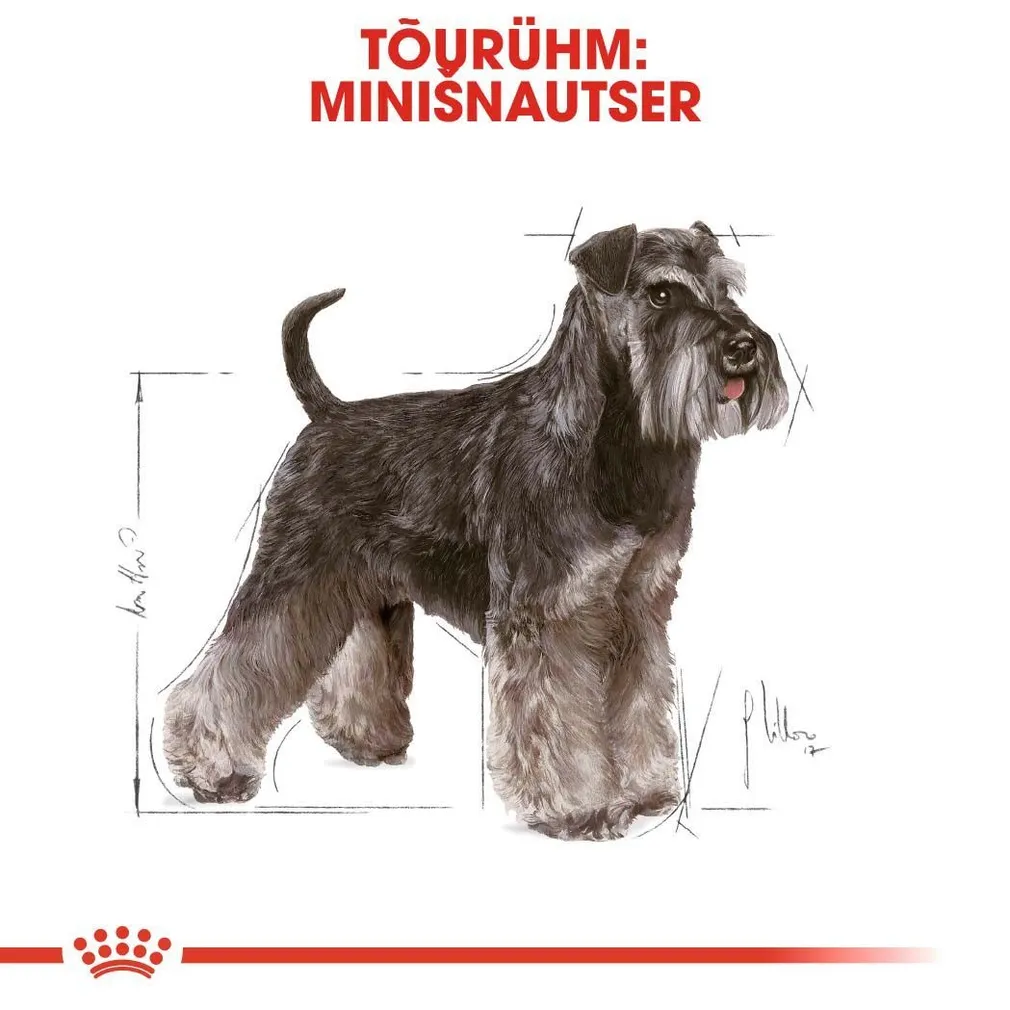 KUIVTOIT ROYAL CANIN MINIATURE SCHNAUZER TÄISKASVANUD KOERTELE 3KG