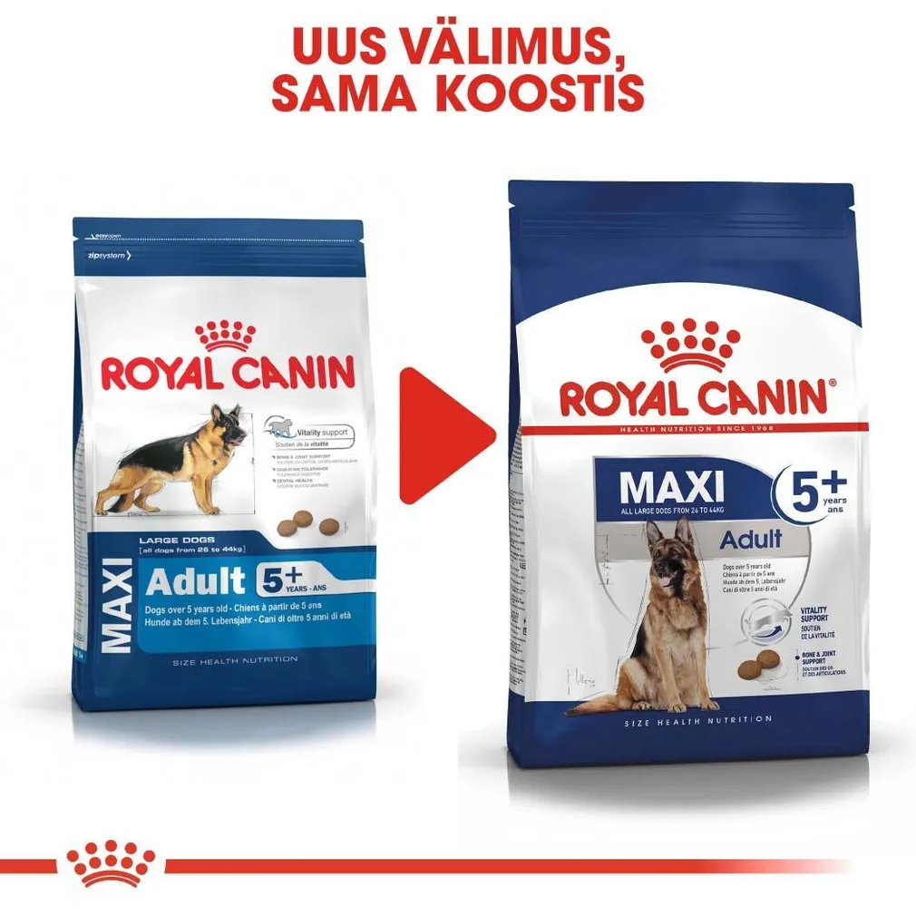 KUIVTOIT ROYAL CANIN ADULT 5+ SUURT KASVU KOERTELE 4KG