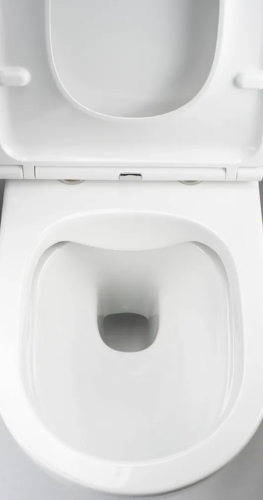 WC-SEINAPOTT DEANTE ROUND SUJUVALT SULGUV PRILL-LAUD