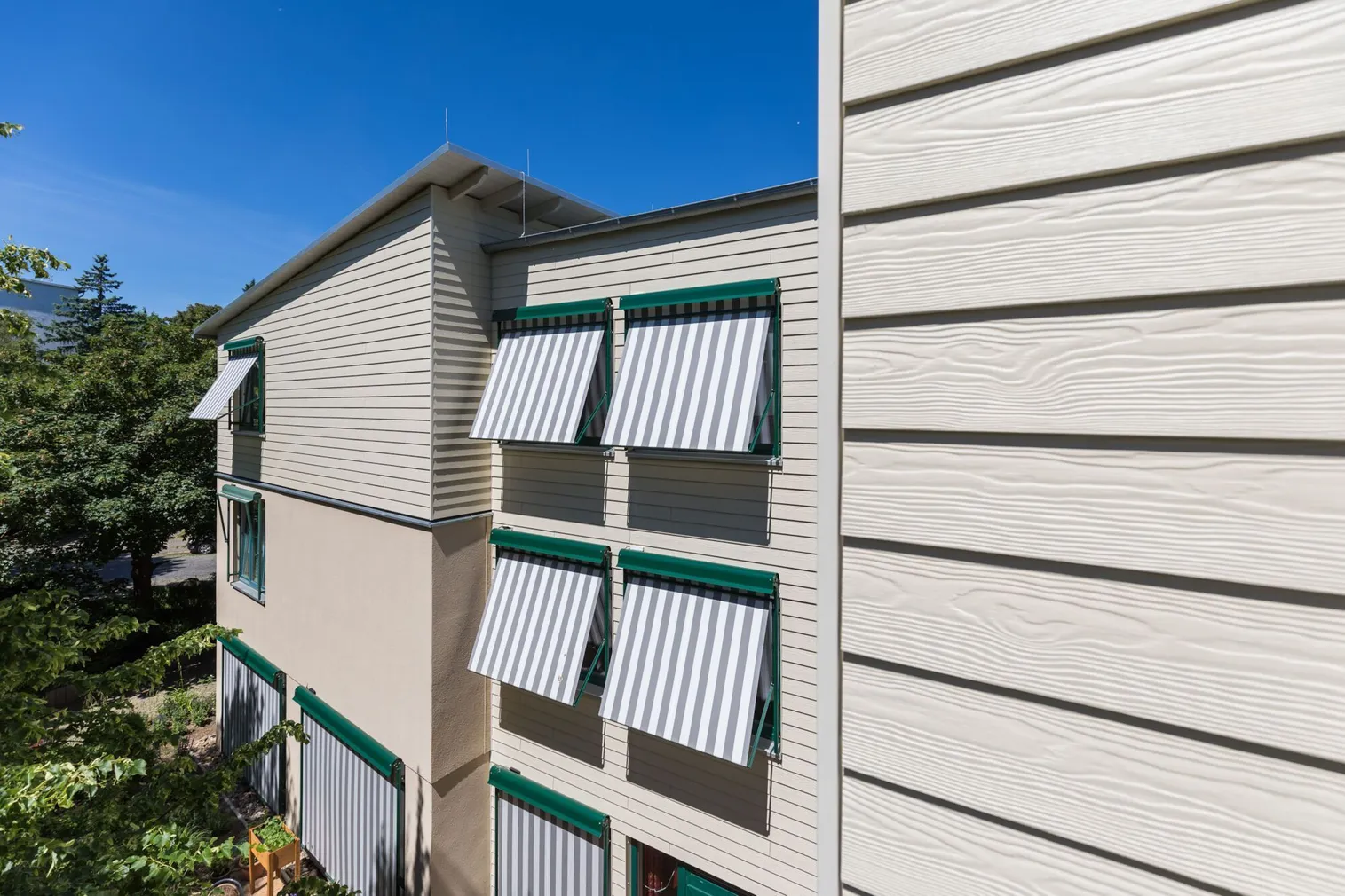 VOODRILAUD CEDRAL CLASSIC 12X186X3600MM C02 PUIDUMUSTRIGA