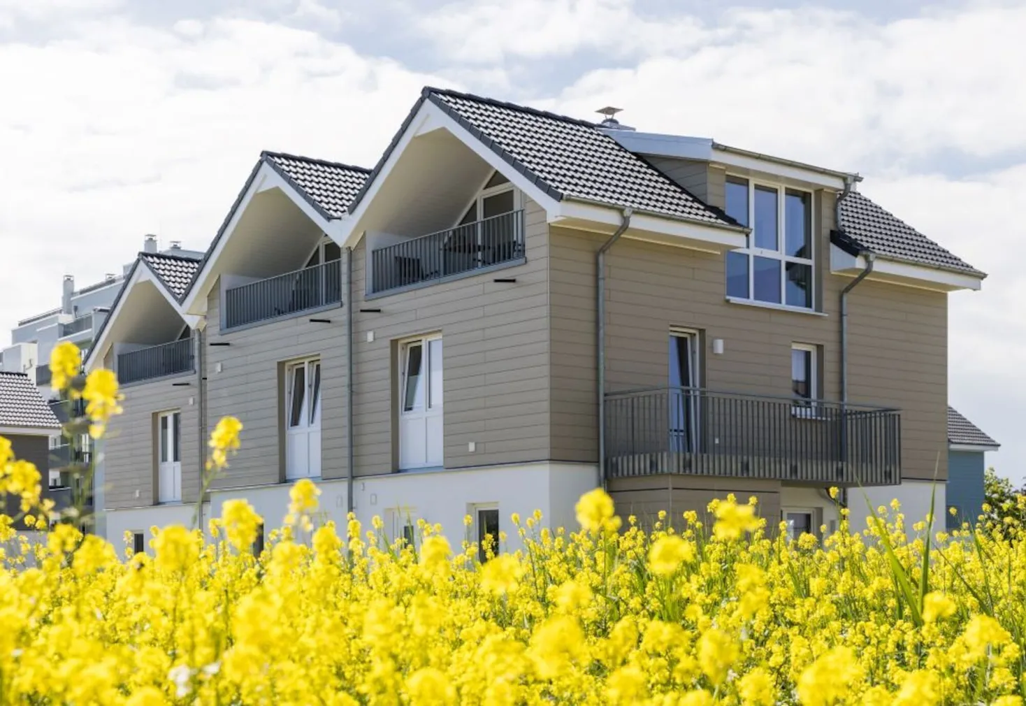 VOODRILAUD CEDRAL CLASSIC 10X190X3600MM C03 PUIDUMUSTRIGA