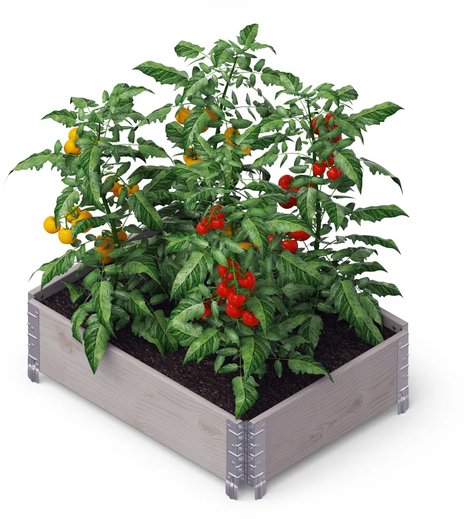 PEENRAKAST UPYARD PROFESSIONAAL 80X60CM HALL