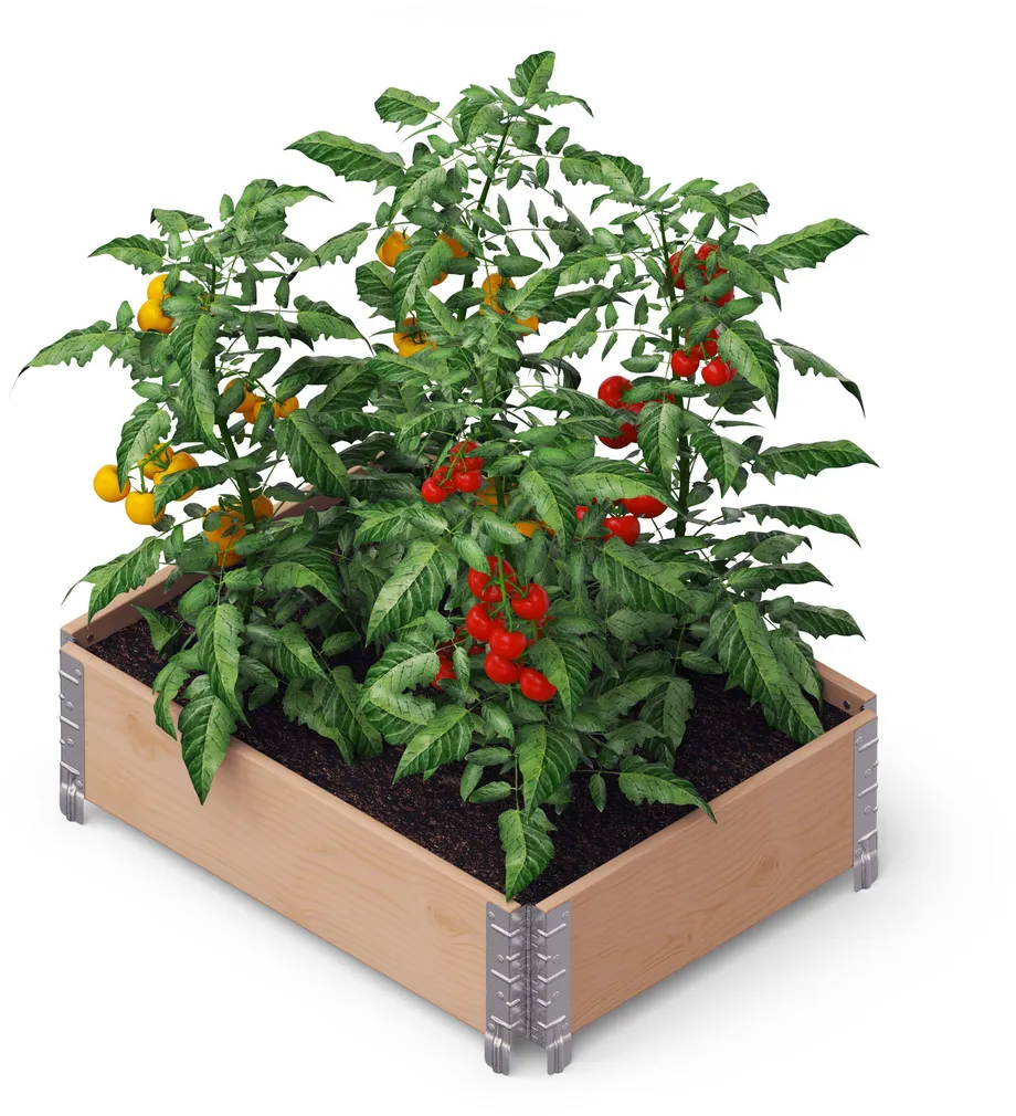 PEENRAKAST UPYARD PROFESSIONAAL 80X60CM PRUUN