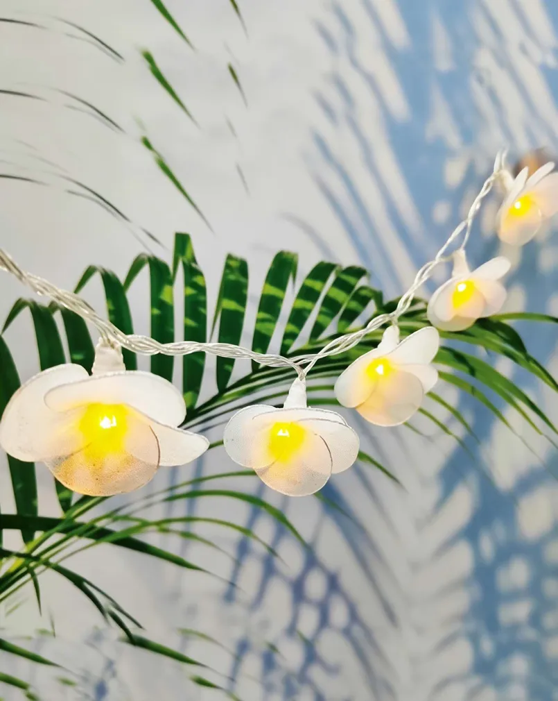 VALGUSKETT SOLAR ÕIED LED 1,8M