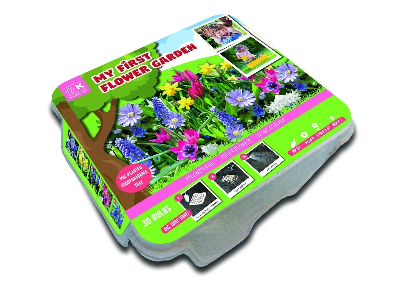 ESIMENE LILLEAED KAPITEYN 30TK