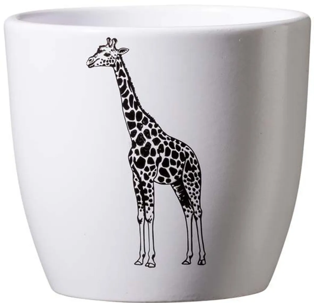 ÜMBRISPOTT SK SAFARI Ø10CM, KAELKIRJAK