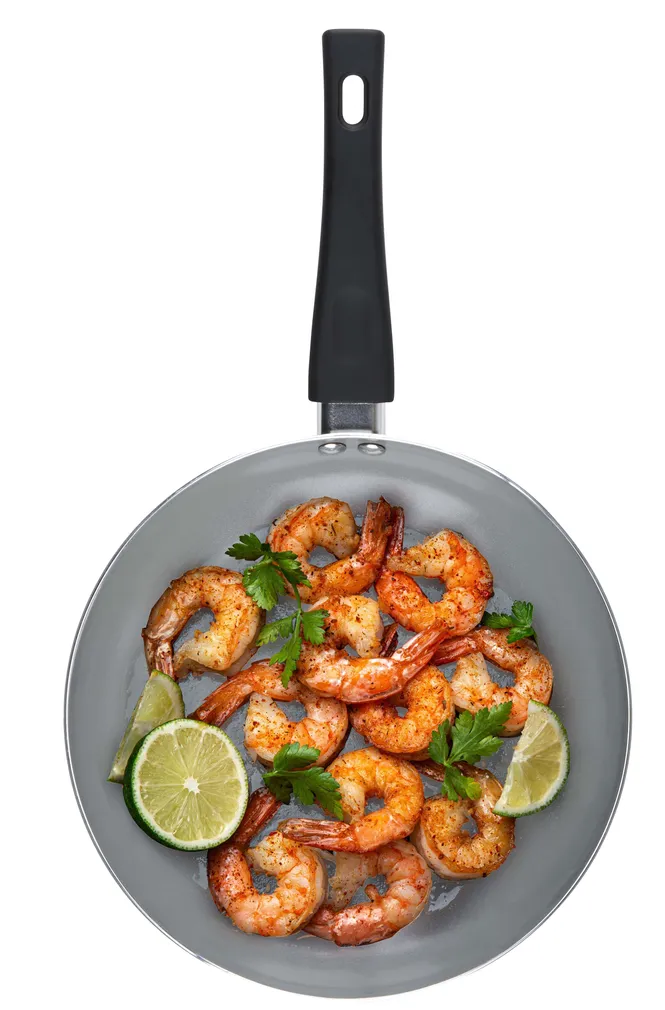 PRAEPANN ALPINA KERAAMILISE KATTEGA 24CM