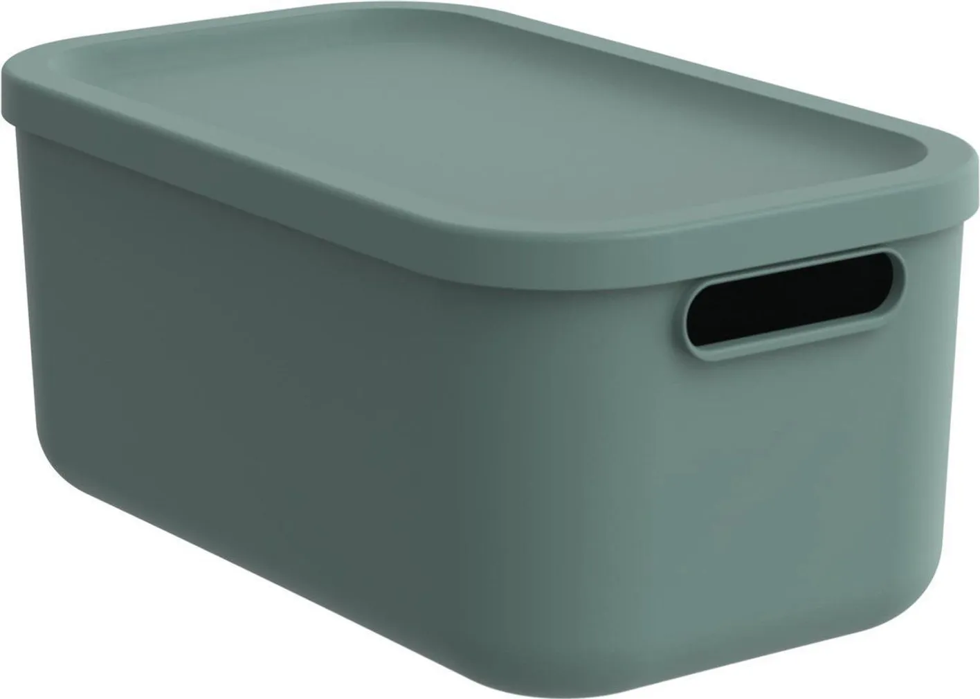 HOIUKAST KAANEGA ROTHO ALBULA 12L, ROHELINE