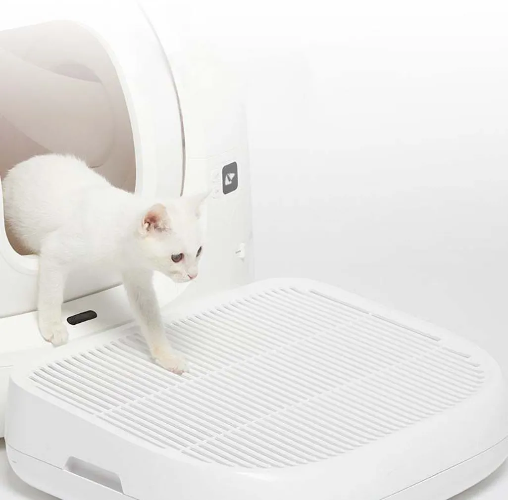 KASSILIIVA PÜÜDJA PETKIT