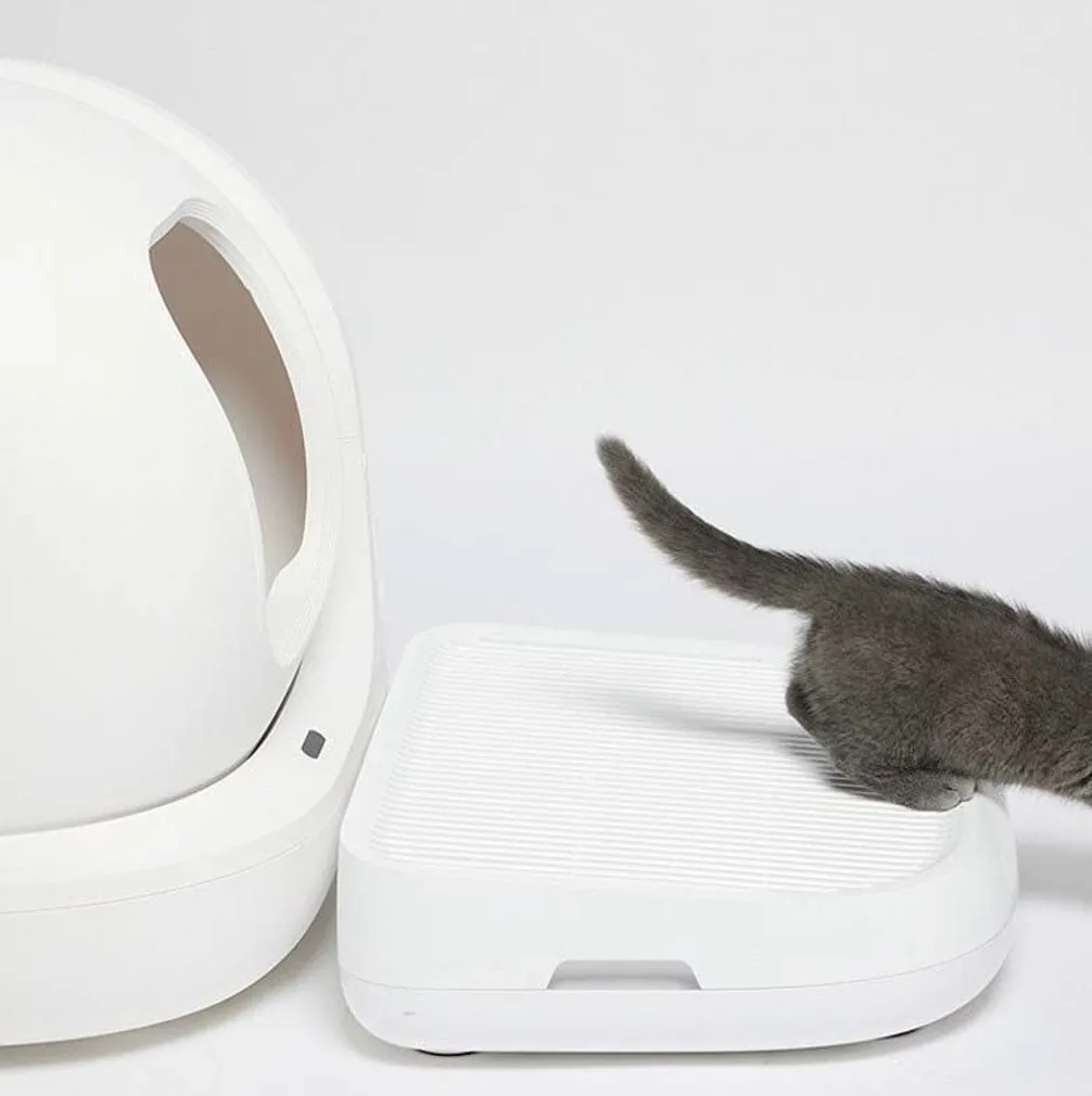 KASSILIIVA PÜÜDJA PETKIT