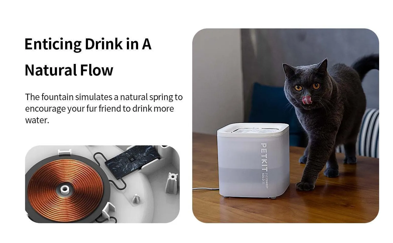 NUTIKAS LEMMIKLOOMA PURSKKAEV PETKIT EVERSWEET SOLO SE 1,8L, VALGE