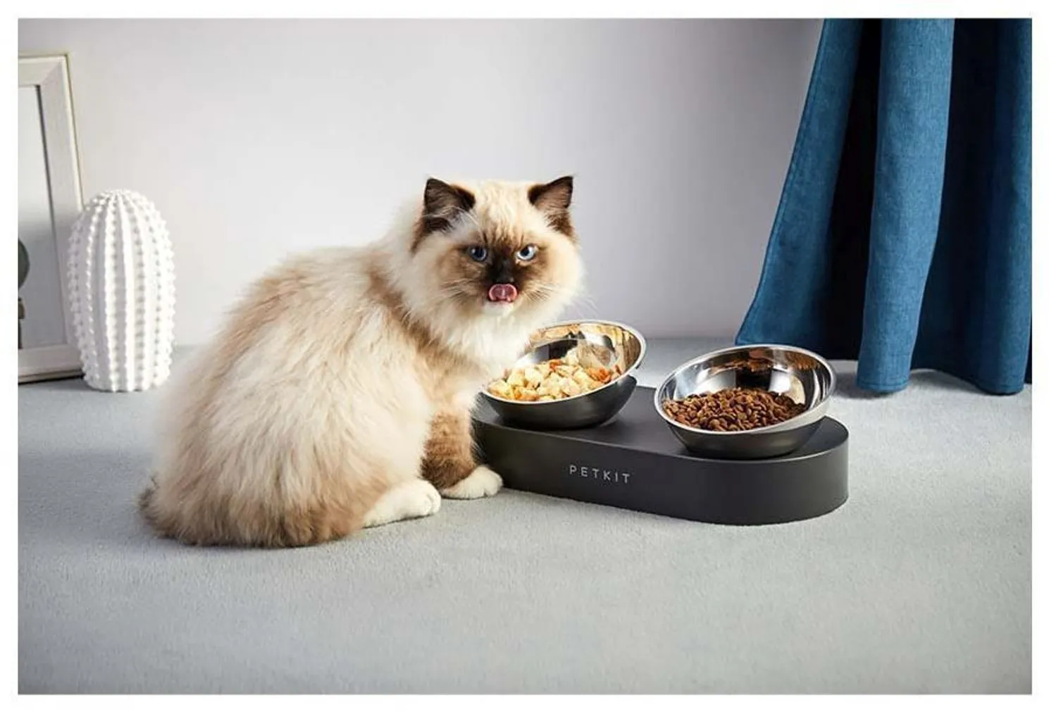 LEMMIKLOOMA SÖÖGIKAUSSIDE KOMPLEKT PETKIT 0,48L MUST