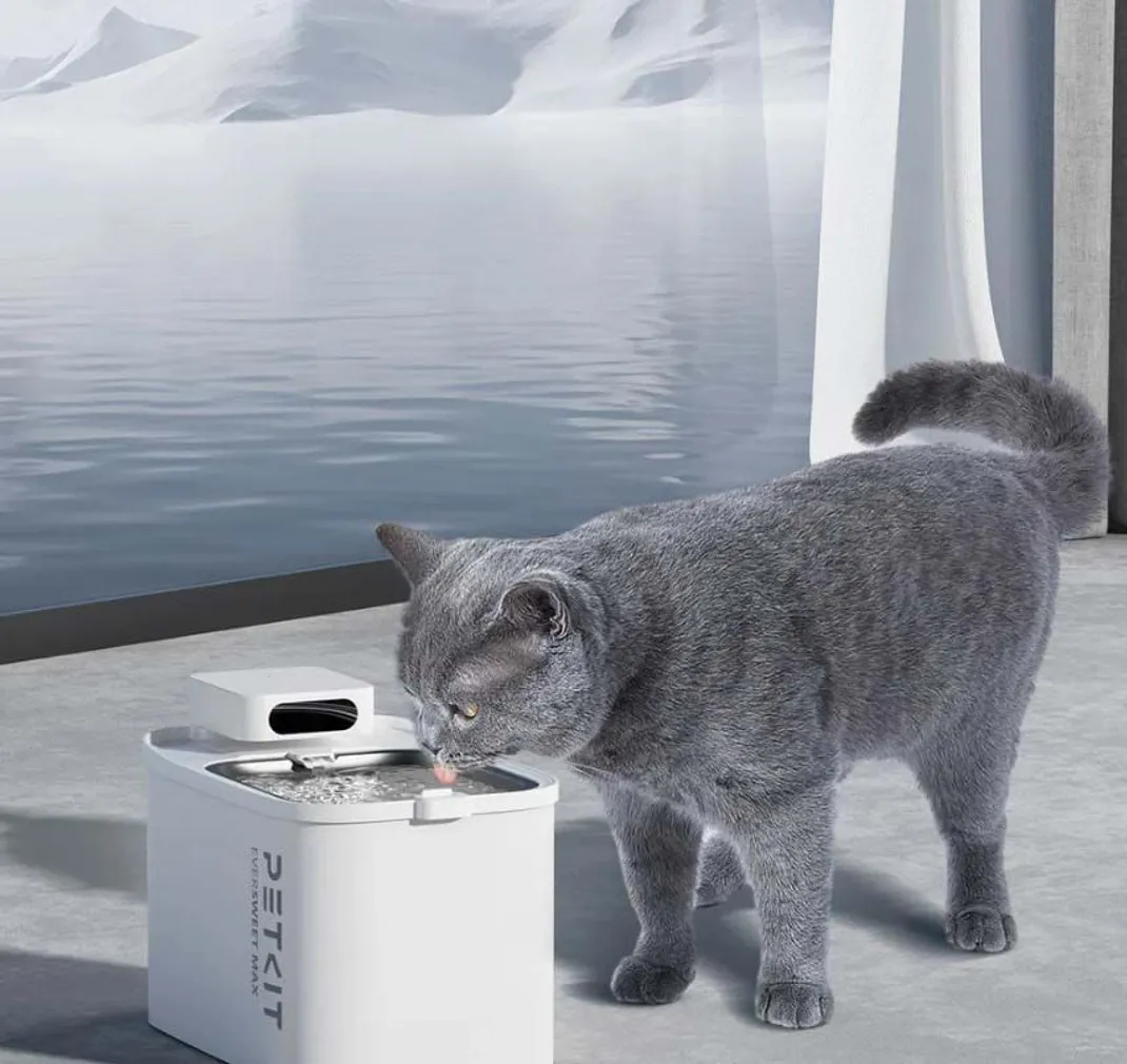 FILTER LEMMIKLOOMA PURSKKAEVULE PETKIT EVERSWEET MAX, 5TK