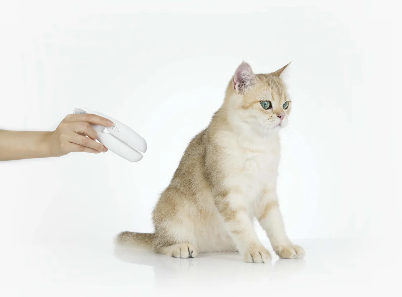 LEMMIKLOOMADE KÜÜNETANGID PETKIT LED-LAMBIGA VALGE