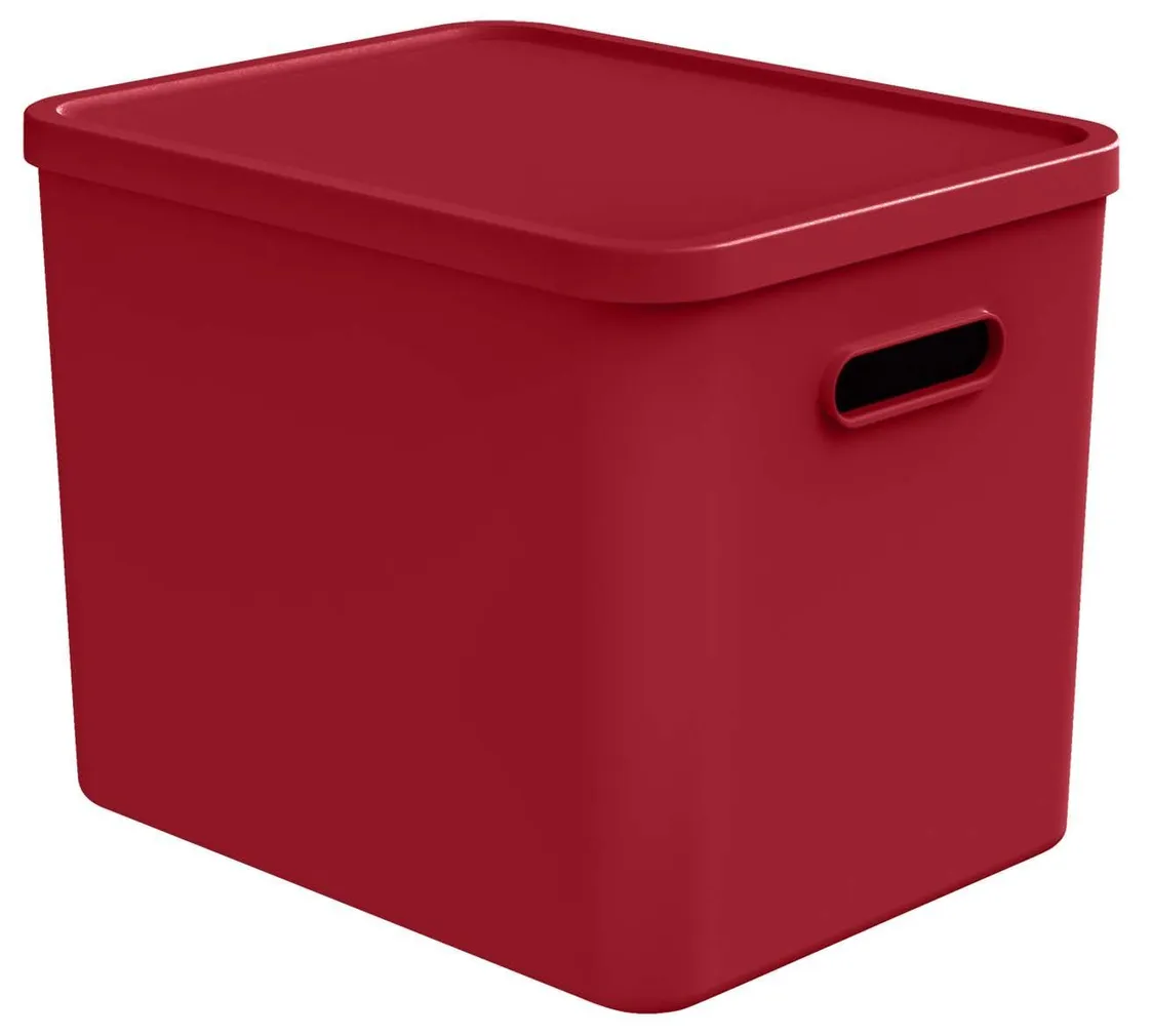 HOIUKAST KAANEGA ROTHO C4 ALBULA 27L, JÕULU PUNANE