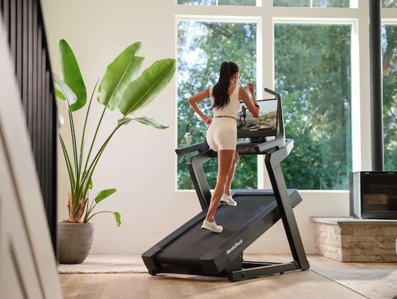 JOOKSULINT NORDIC TRACK X24