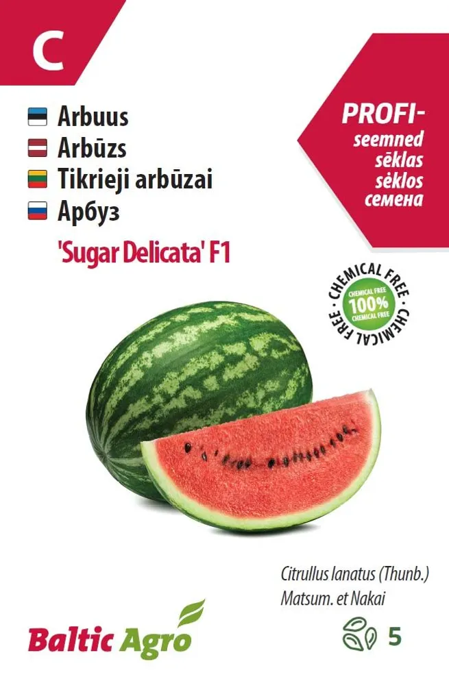 ARBUUS BALTIC AGRO "SUGAR DELICATA" F1, 5 SEEMET