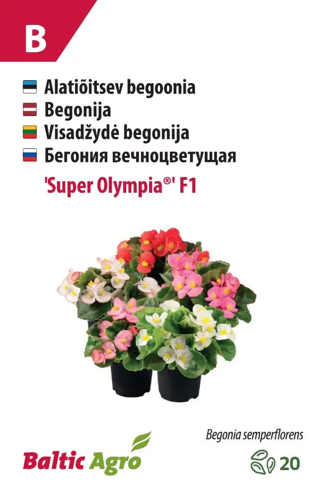 BEGOONIA BALTIC AGRO "SUPER OLYMPIA"®