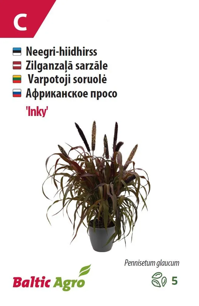 HIIDHIRSS BALTIC AGRO "INKY"