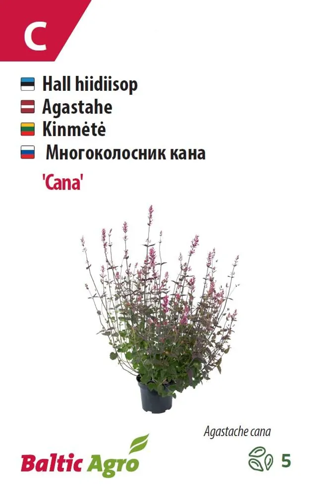 HIIDIISOP BALTIC AGRO "CANA"