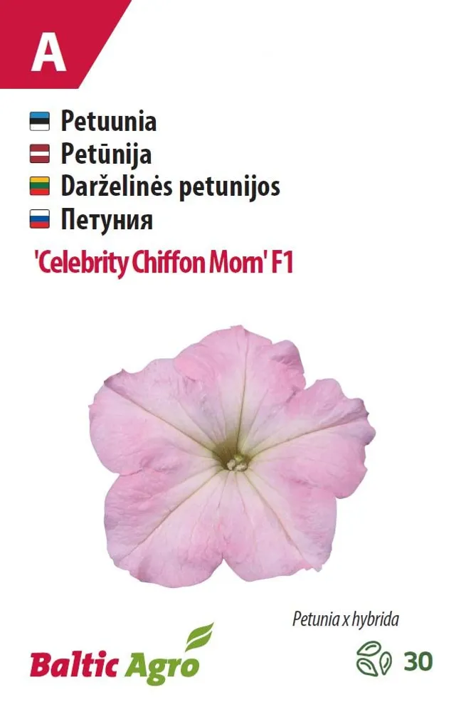 PETUUNIA BALTIC AGRO "CELEBRITY CHIFFON MORN" F1