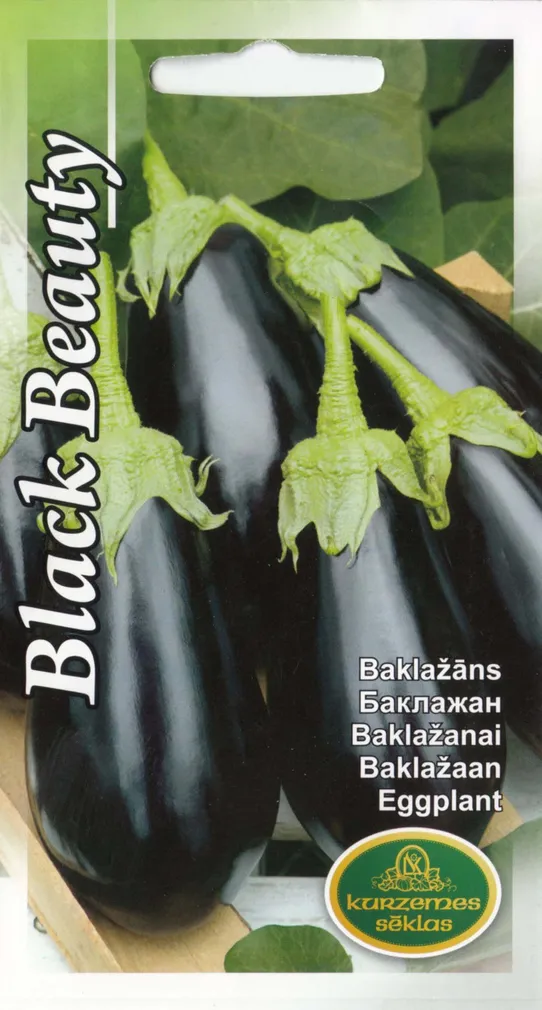 KABATŠOKK BLACK BEAUTY 2G