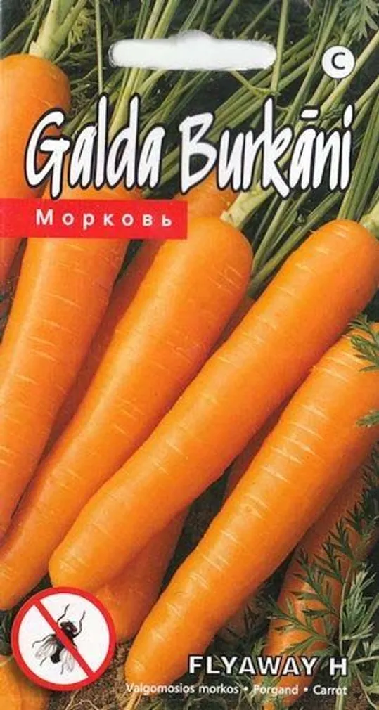 PORGAND FLYAWAY H 0,3G