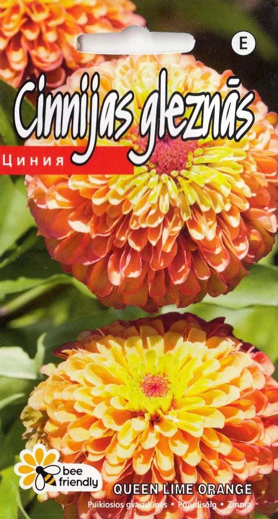 PRUUDISÕLG QUEEN LIME ORANGE 0,1G