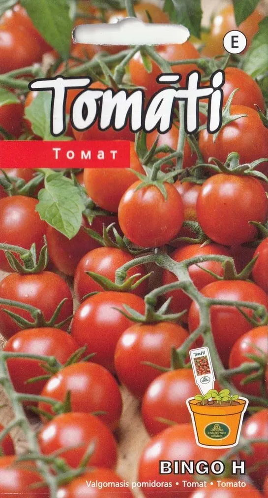 TOMAT BINGO H 0,1G