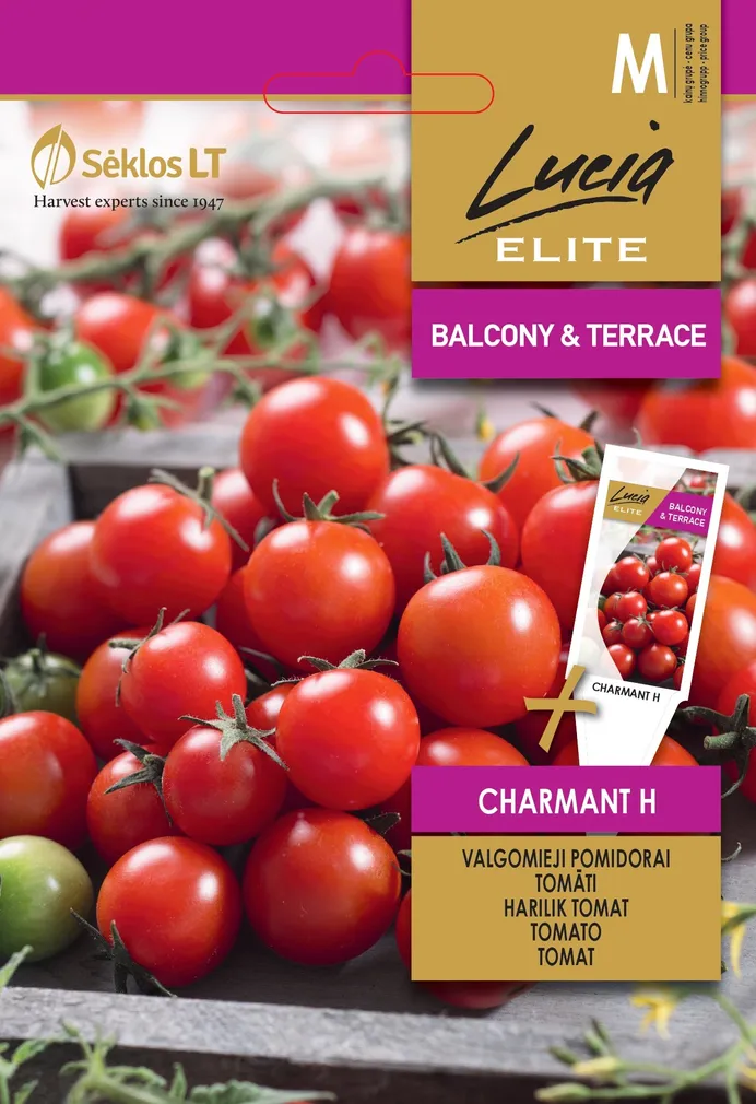 HARILIK TOMAT SEKLOS CHARMANT H 0,1G