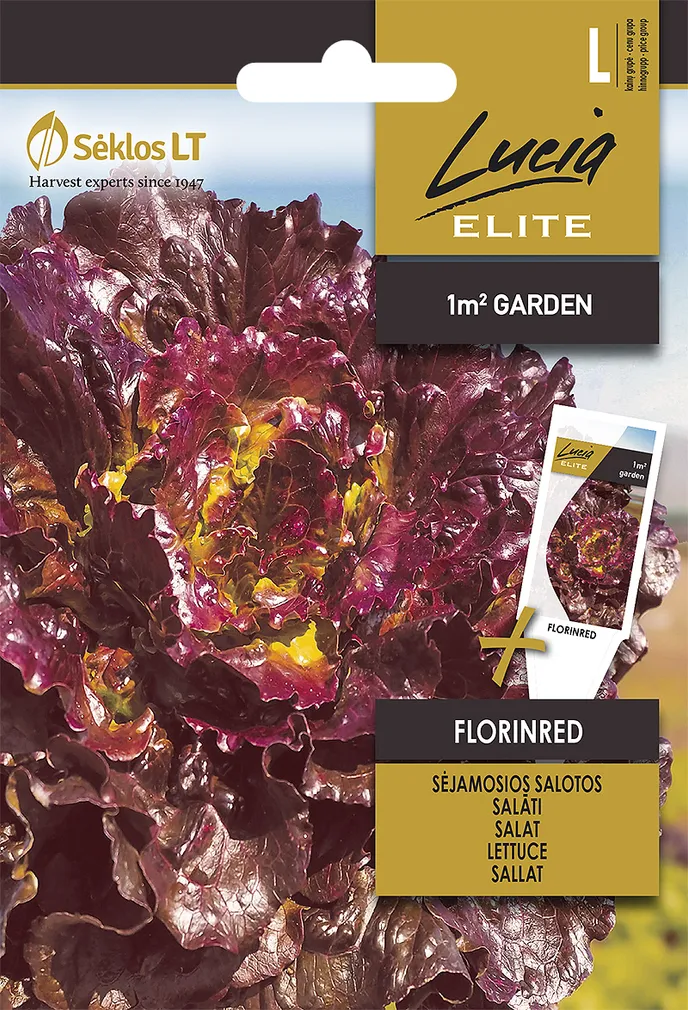 SALAT SEKLOS FLORINRED, PAKIS 25 SEEMET