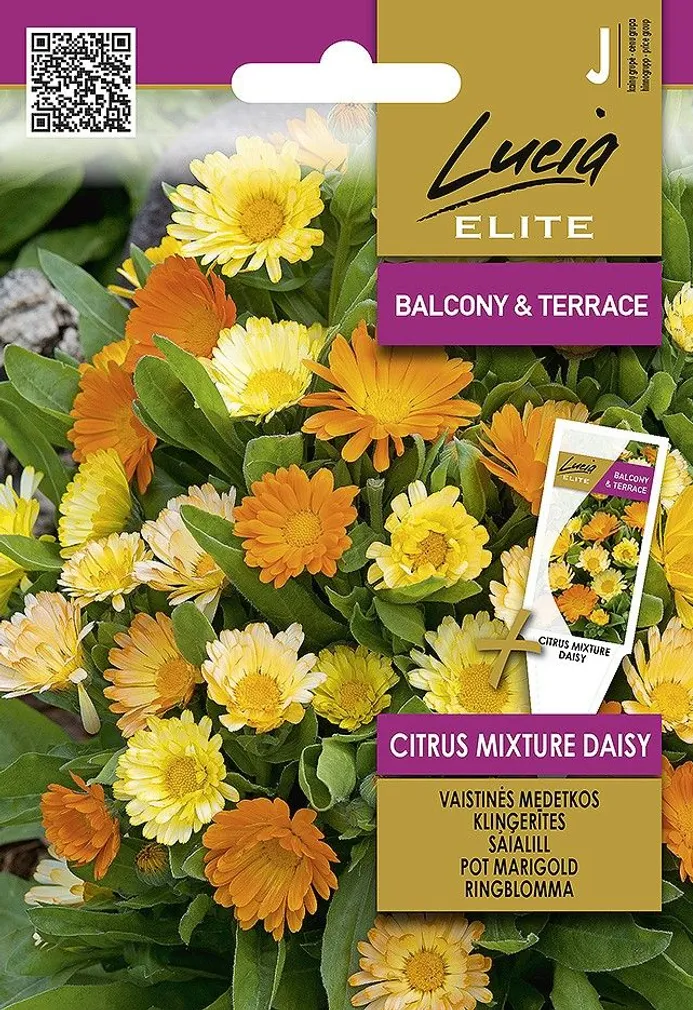 SAIALILL SEKLOS CITRUS MIXTURE DAISY 0,5G