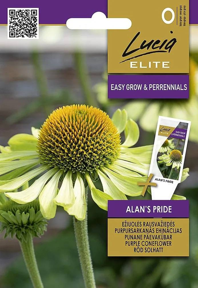 PÄEVAKÜBAR SEKLOS ALAN'S PRIDE, PAKIS 15 SEEMET