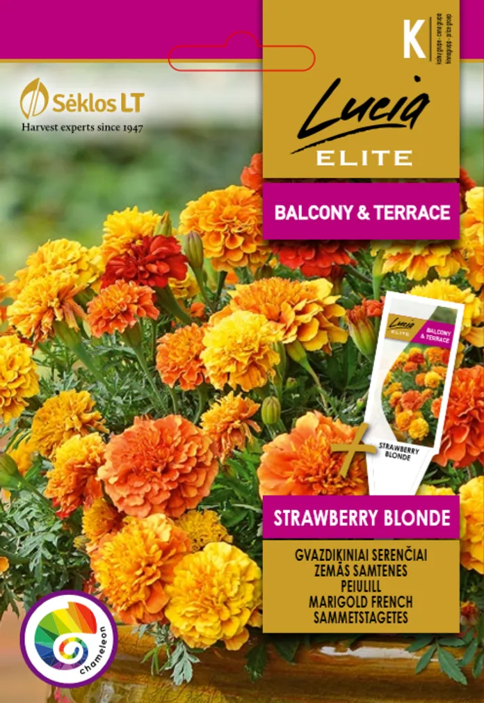 PEIULILL SEKLOS STRAWBERRY BLONDE, PAKIS 30 SEEMET