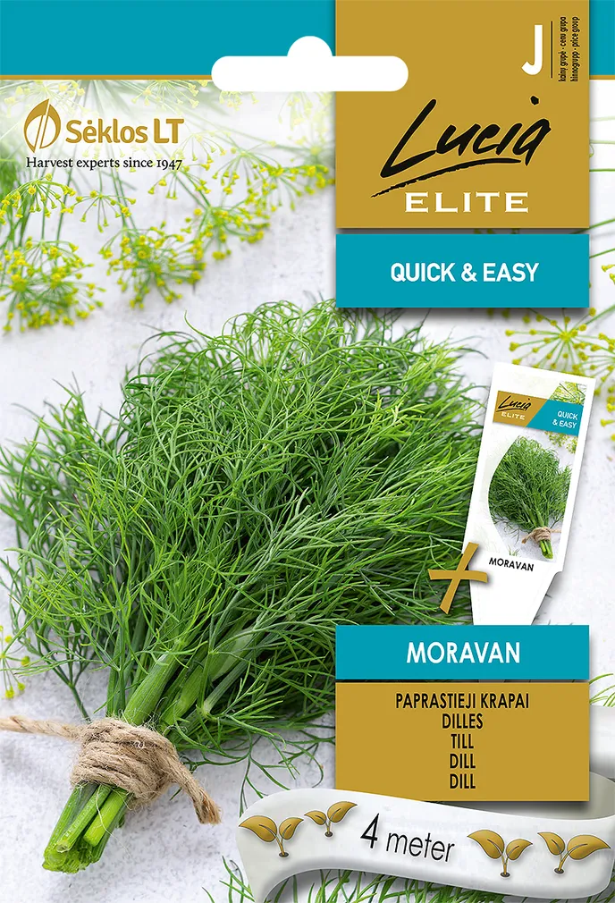 TILL SEKLOS MORAVAN, PAKIS 4 MEETRIT SEEMNELINTI