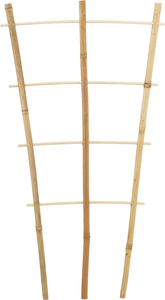 TAIMEDE REDEL BAMBUSEST 46X24X1CM 3TK PAKIS