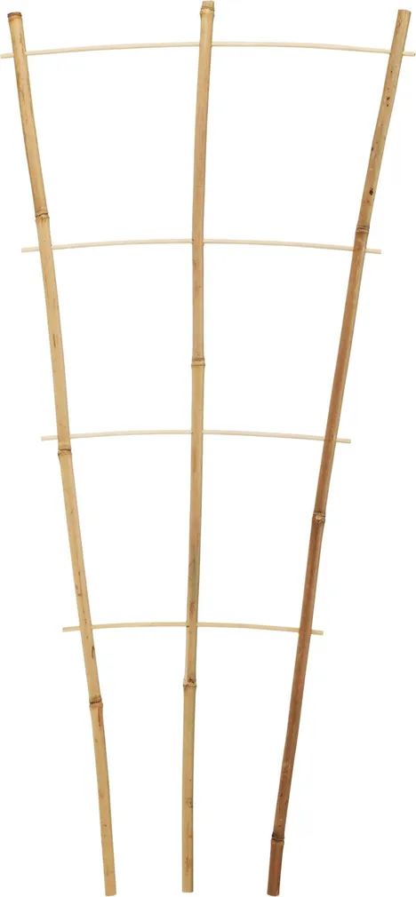 TAIMEDE REDEL BAMBUSEST 75X35X1CM 3TK PAKIS