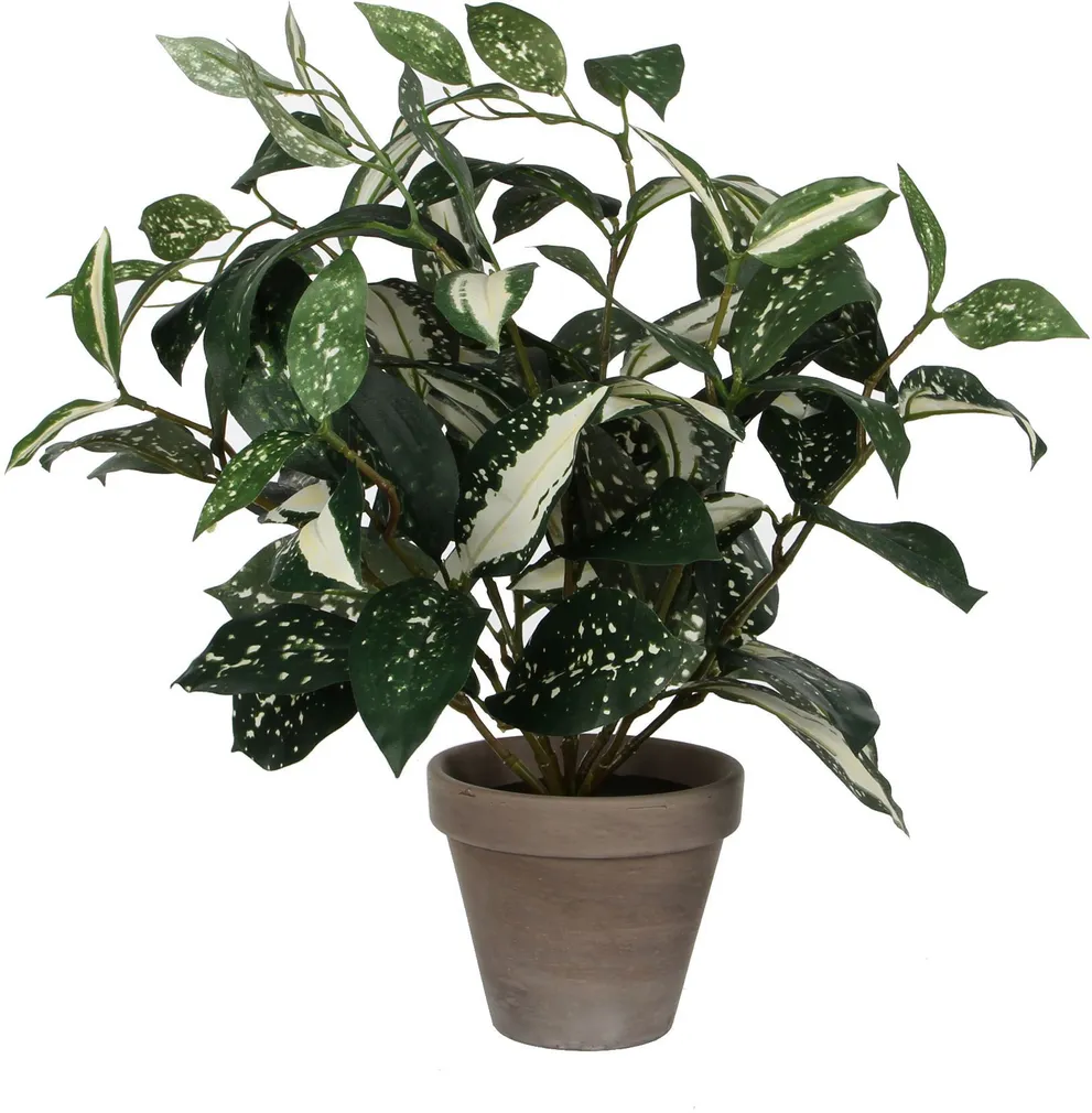 KUNSTTAIM MICA DECORATIONS CORDYLINE POTIS Ø11,5CM